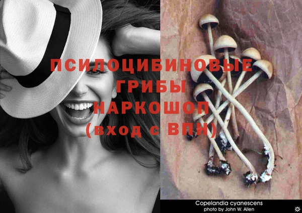 дживик Алексеевка