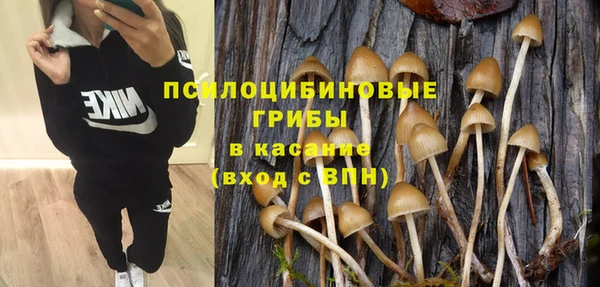 экстази Алексин