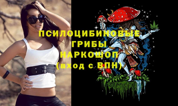 экстази Алексин